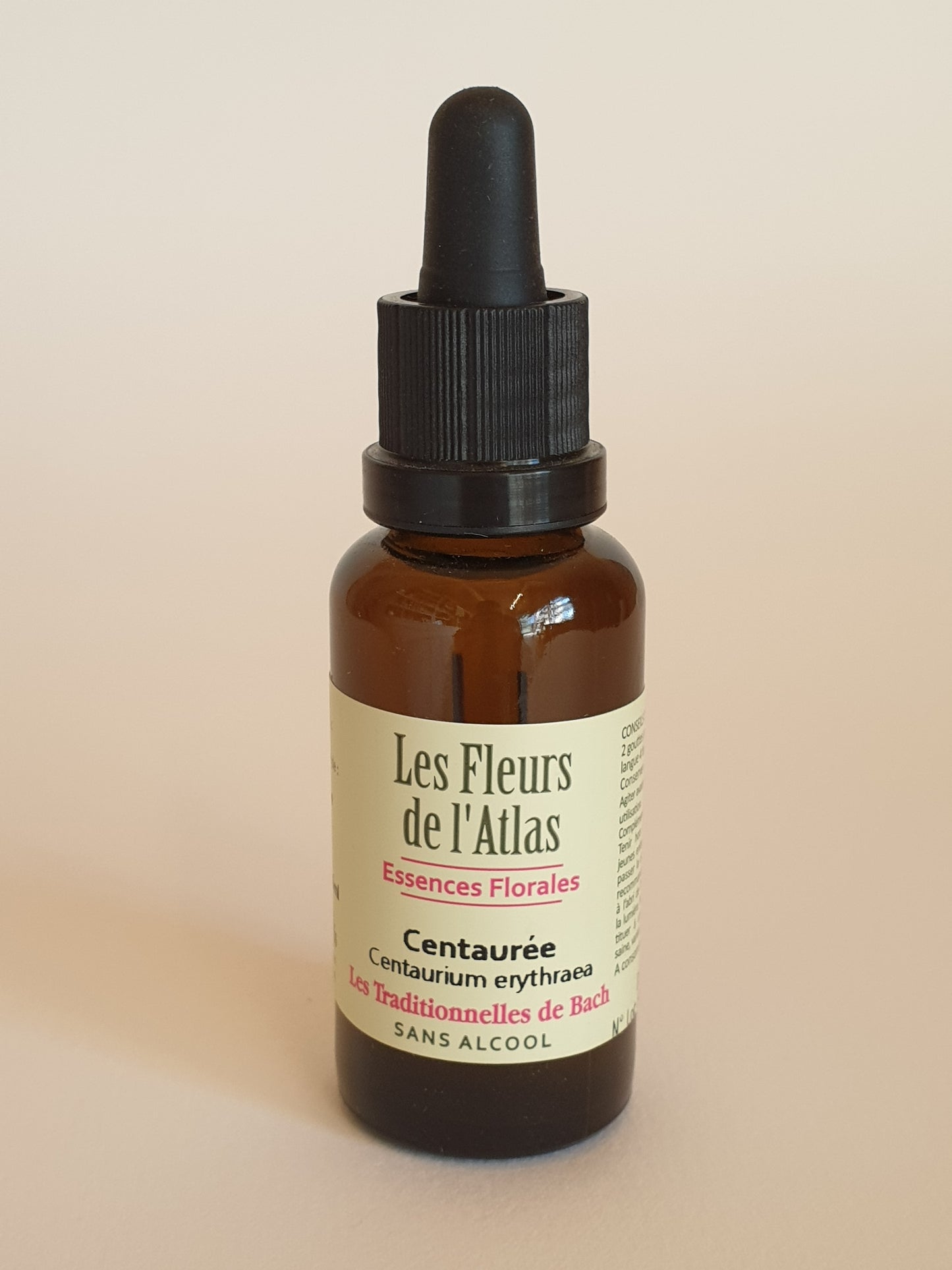 Centaurée