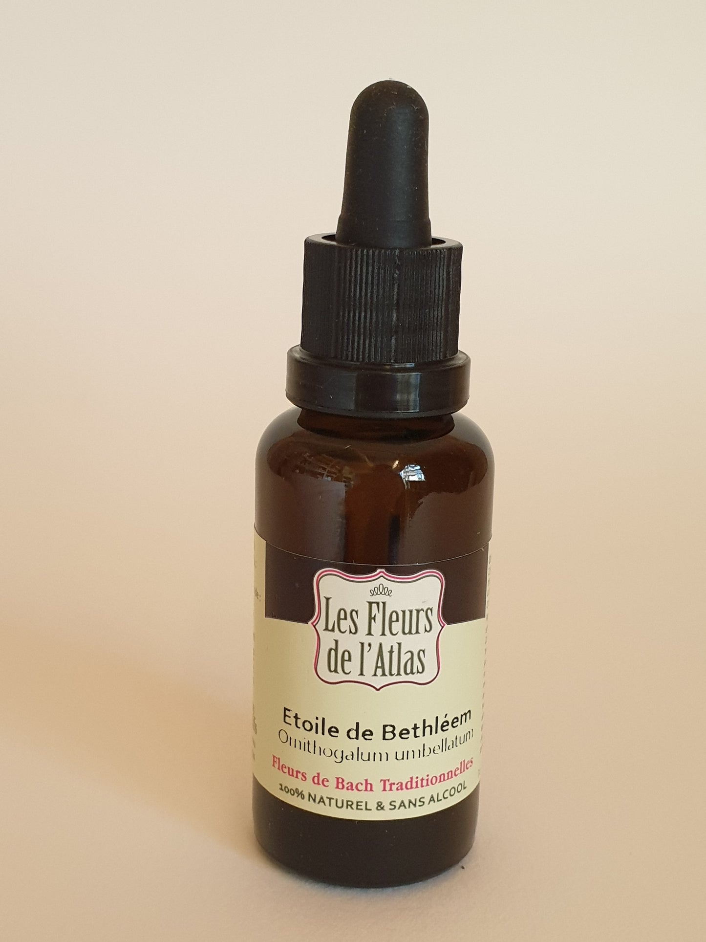 Etoile de Béthléem