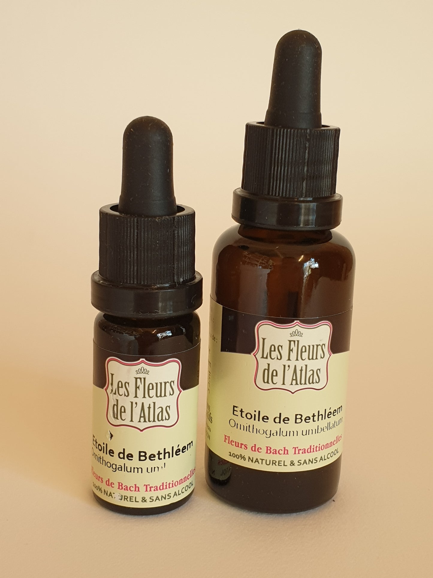 Etoile de Béthléem