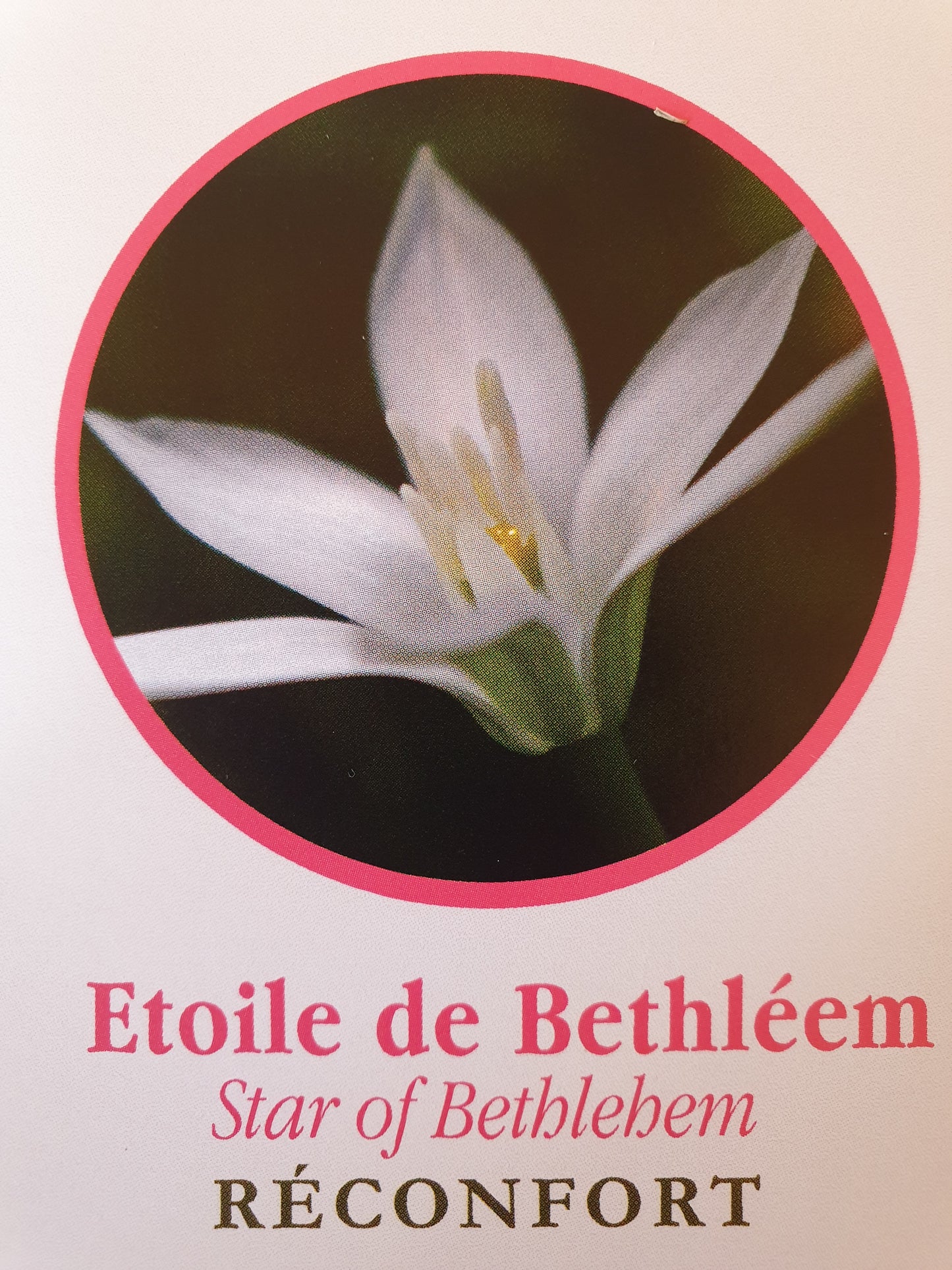 Etoile de Béthléem