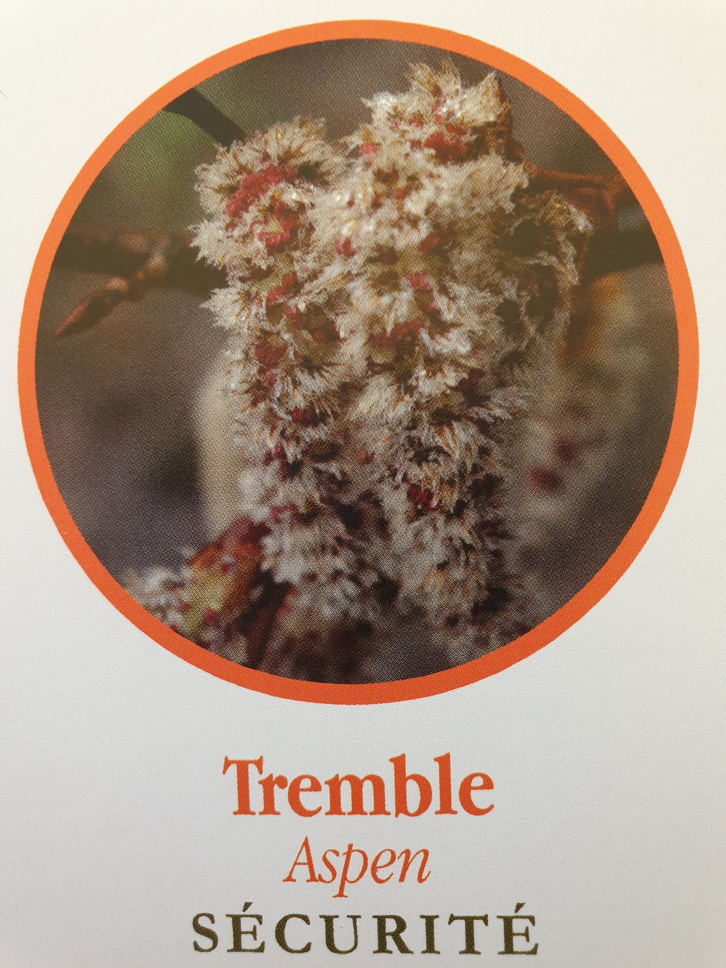 Tremble