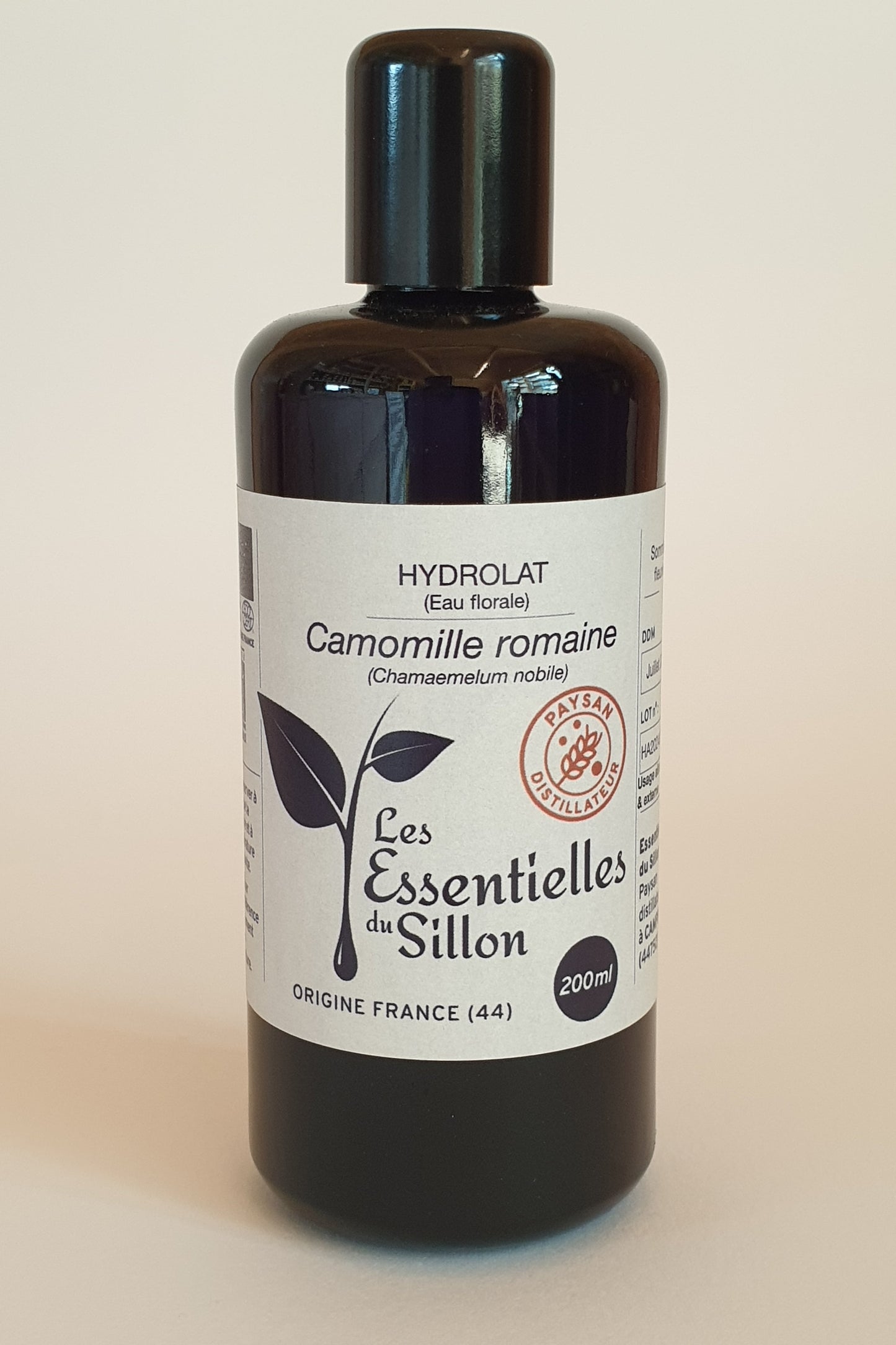 Camomille romainde