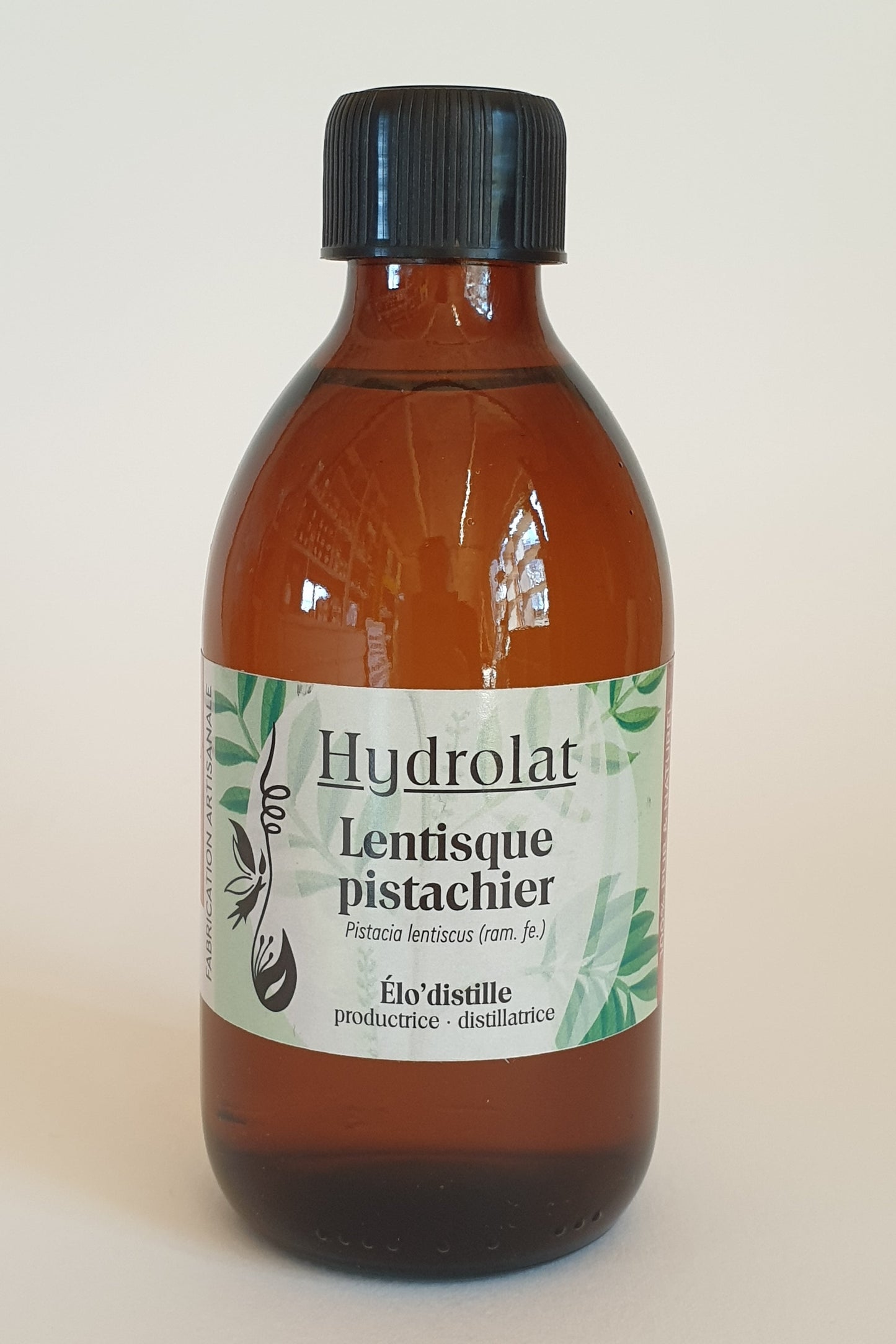 Lentisque pistachier