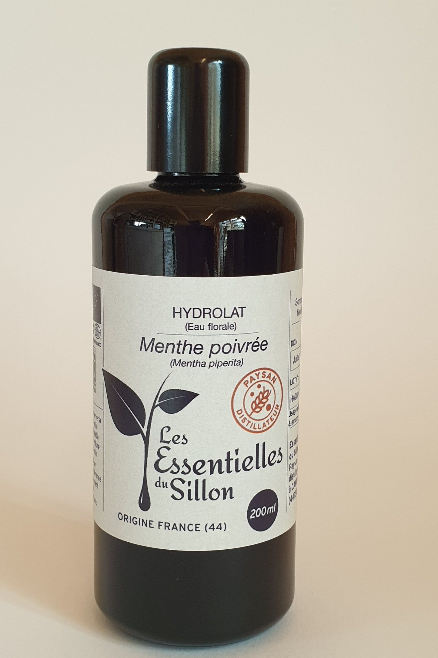 Menthe poivrée