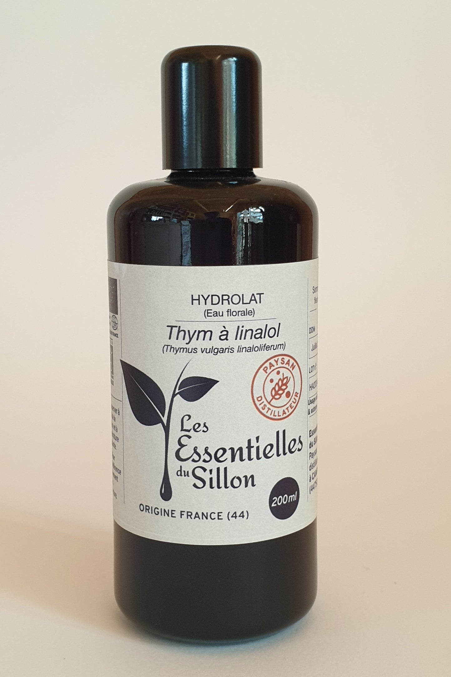 Thym à linalol