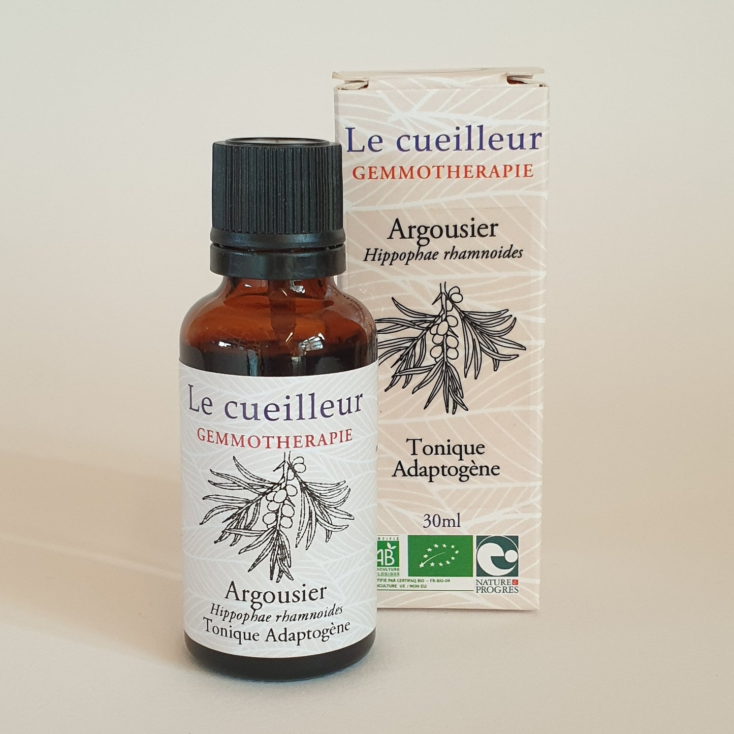 Argousier