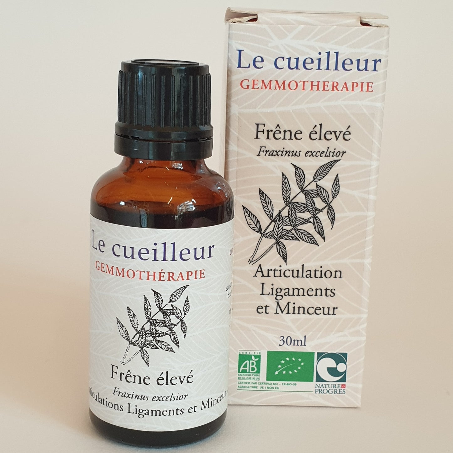Frêne élevé