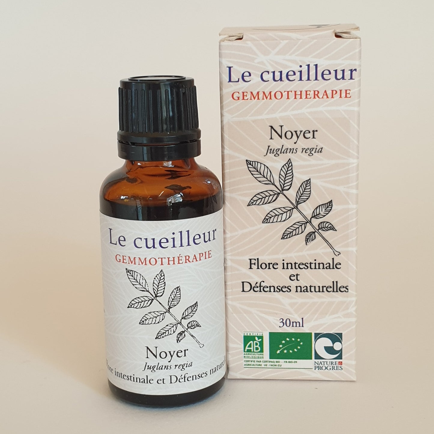Noyer