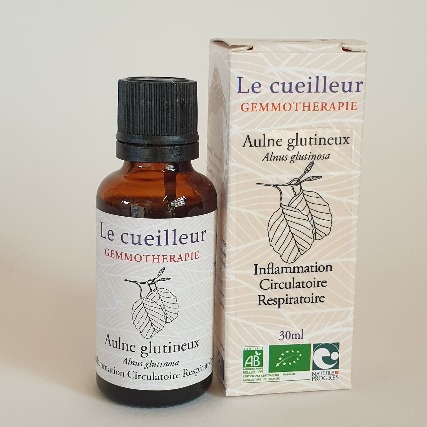 Aulne glutineux