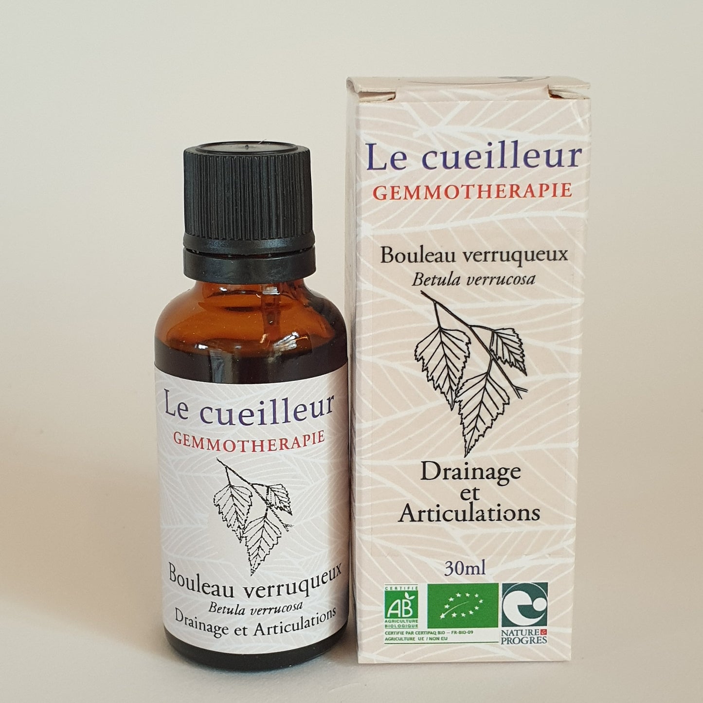 Bouleau verruqueux