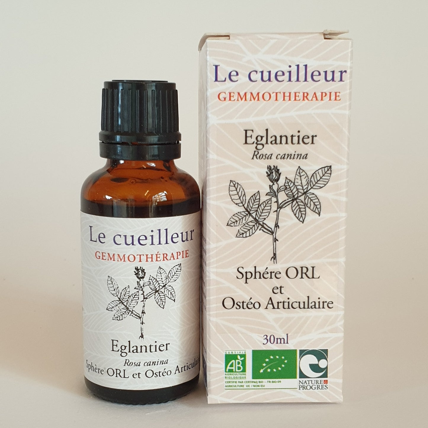 Eglantier