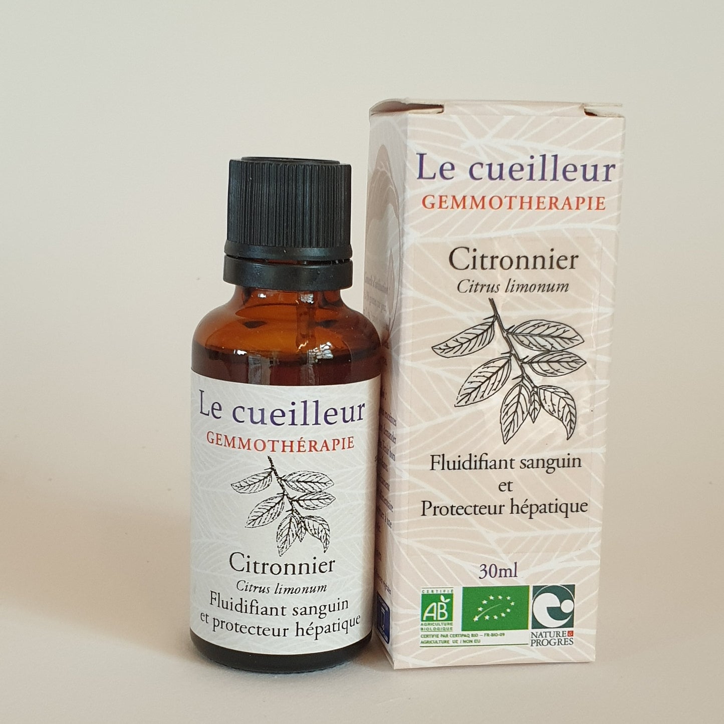 Citronnier