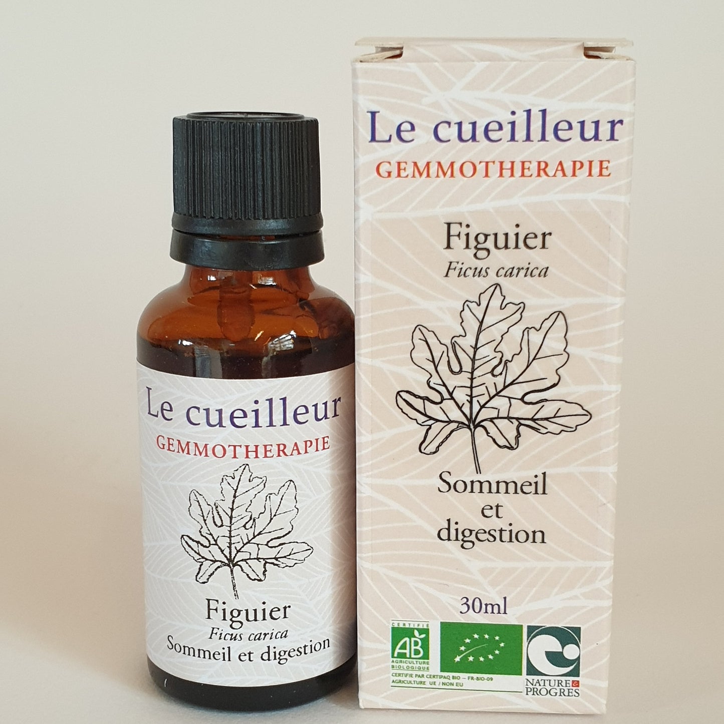 Figuier