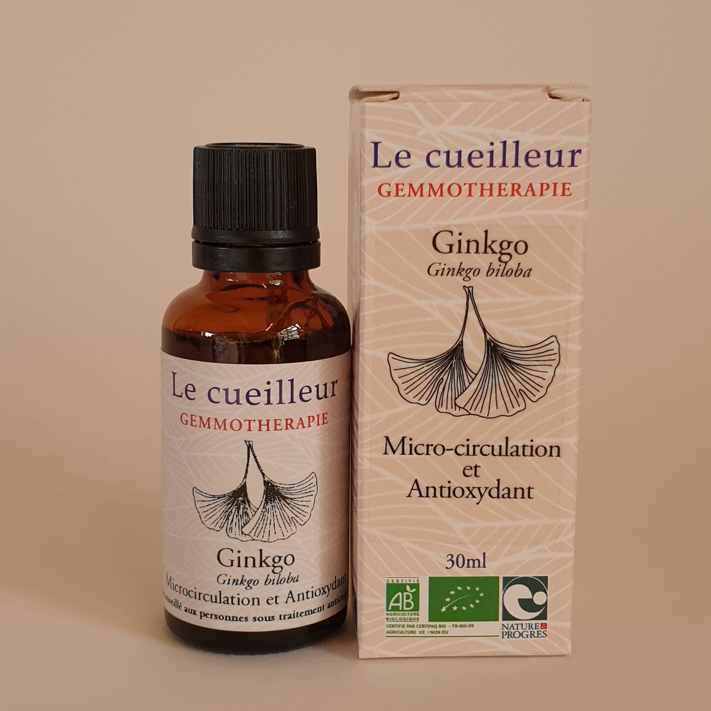 Ginkgo