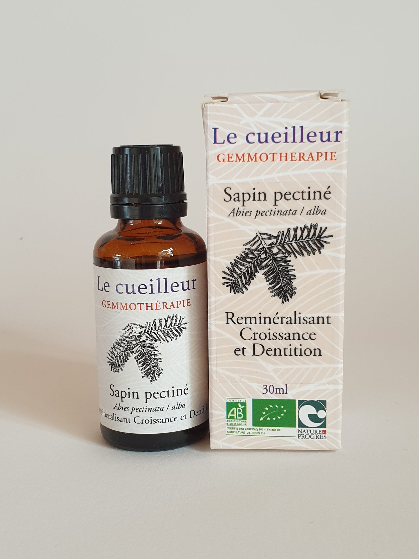 Sapin pectiné