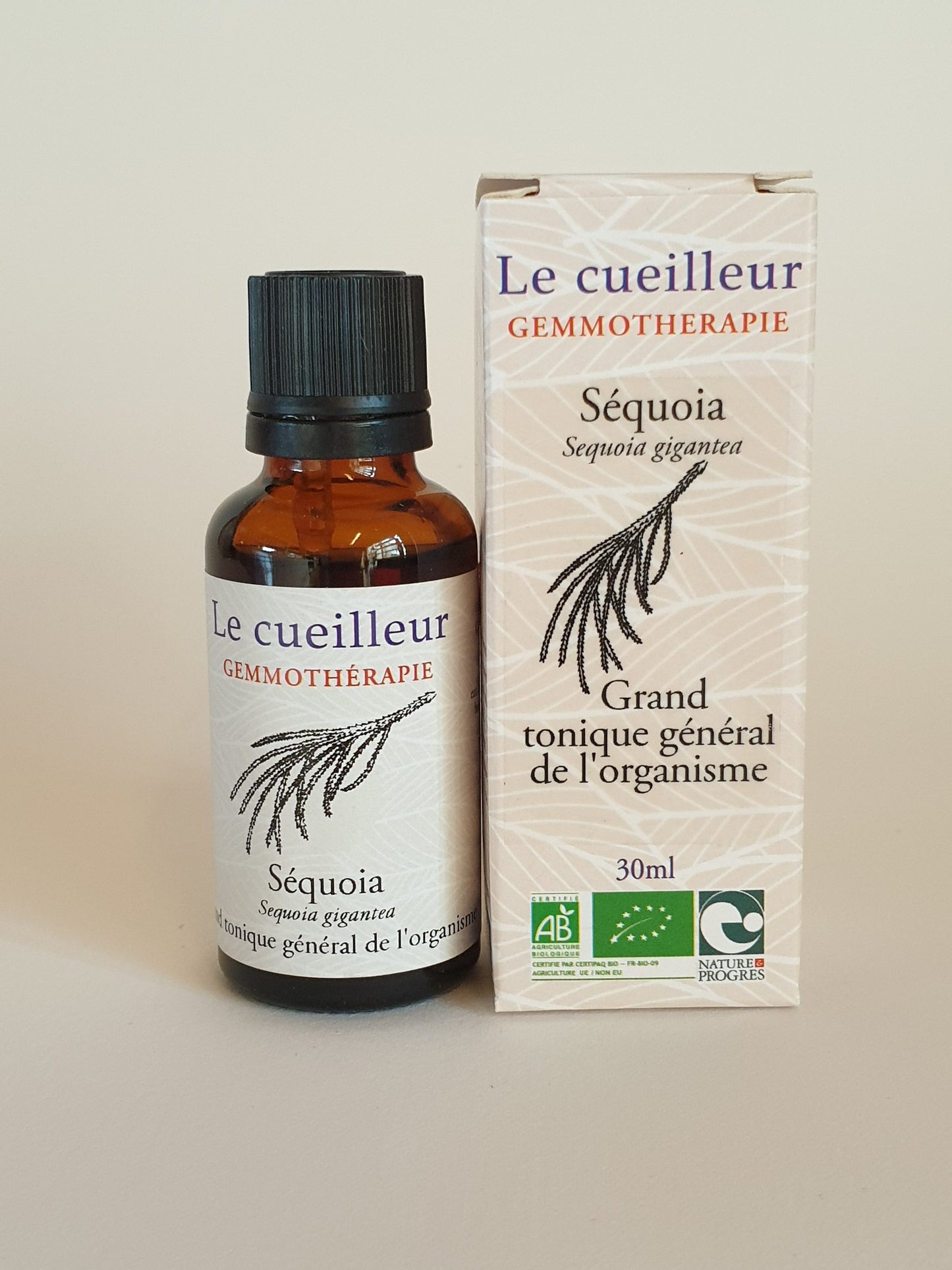 Séquoia