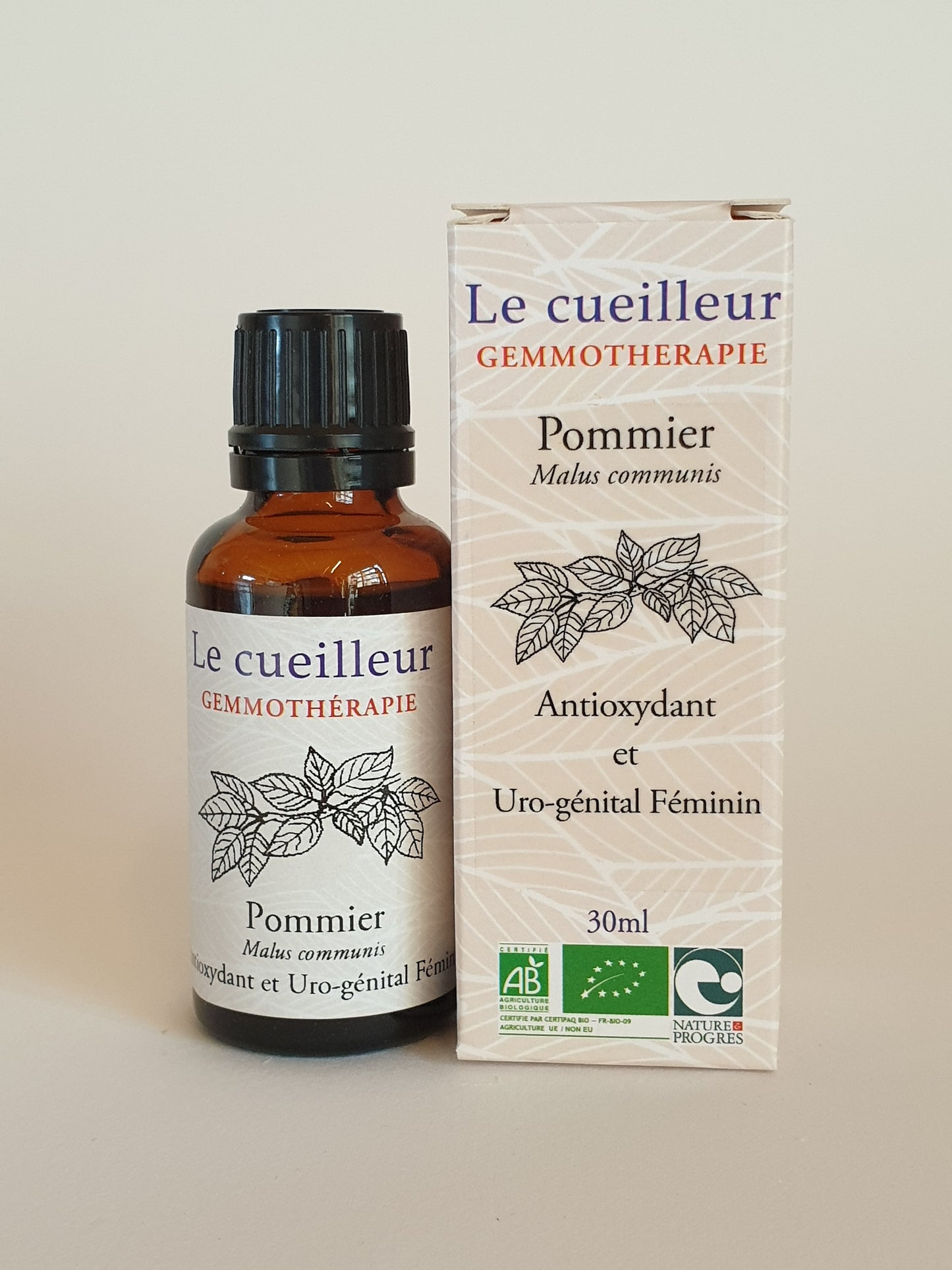 Pommier