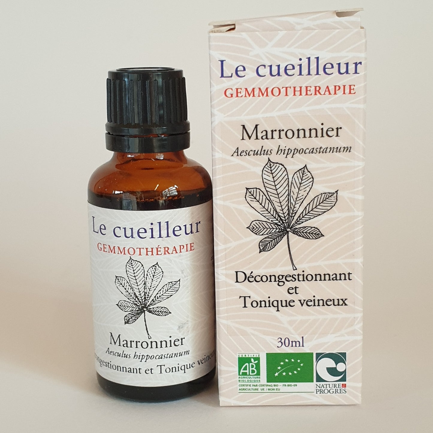 Marronnier