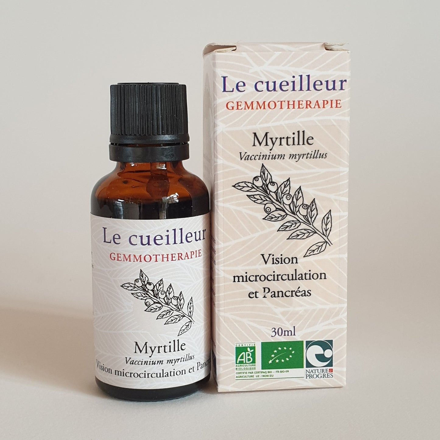 Myrtille