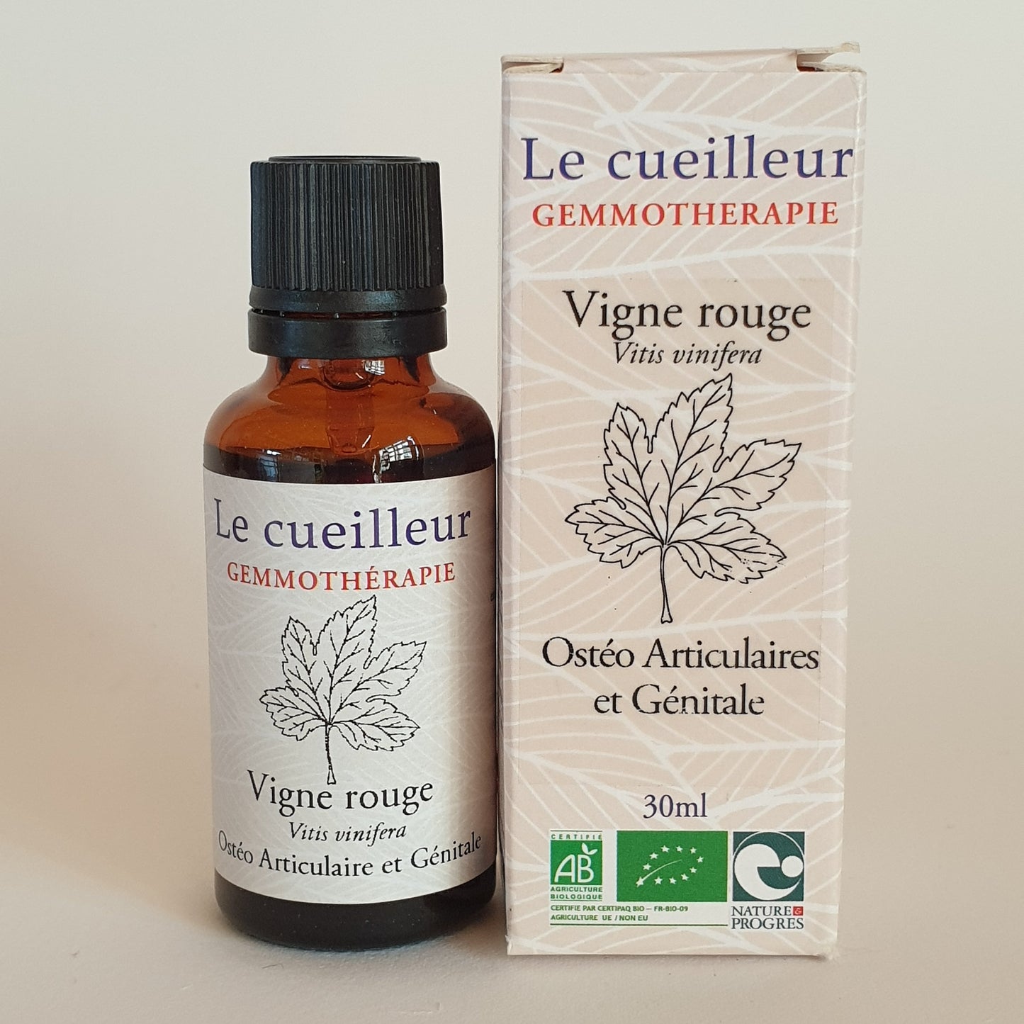 Vigne rouge