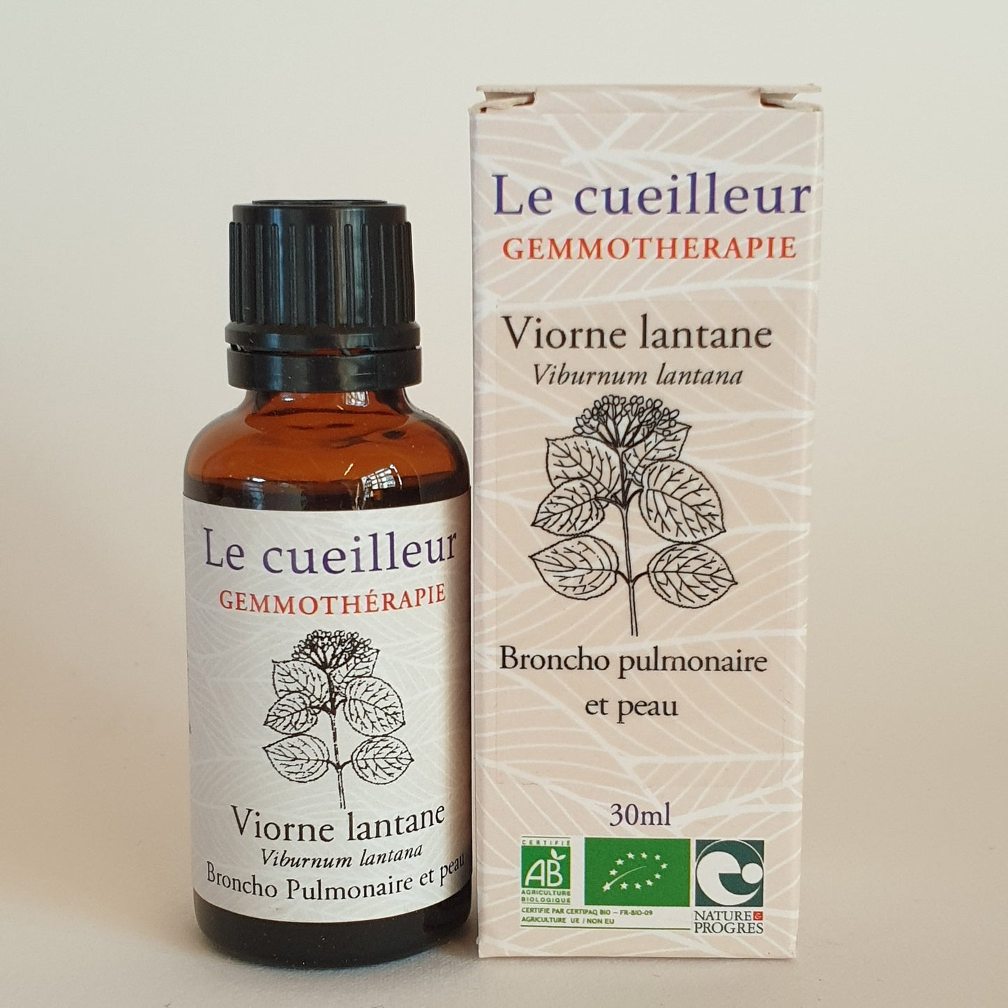Viorne lantane