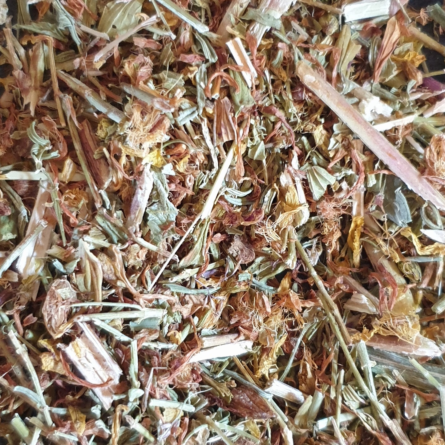 Millepertuis
