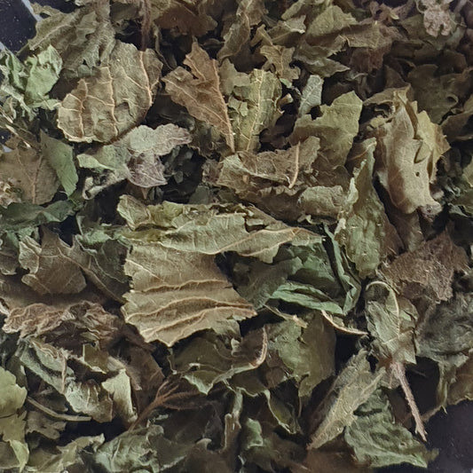 Ortie - feuilles