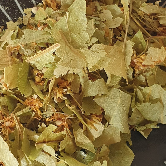 Tilleul - inflorescences