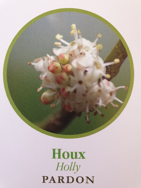 Houx
