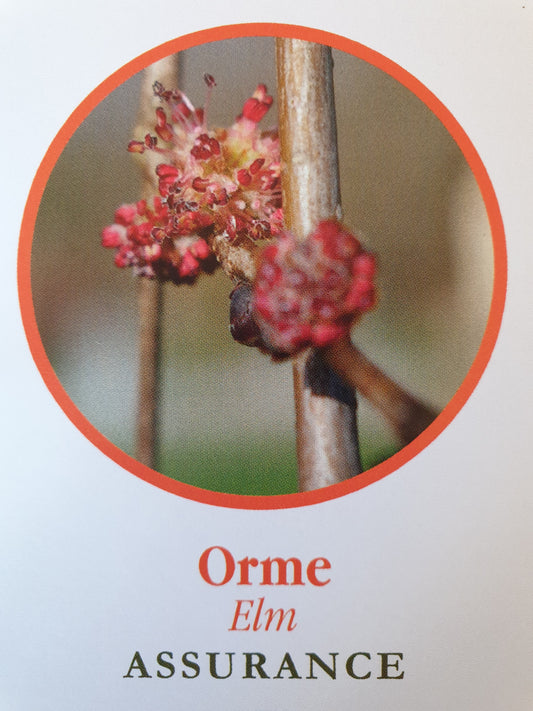 Orme