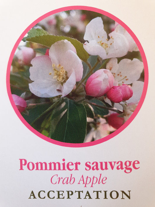 Pommier sauvage