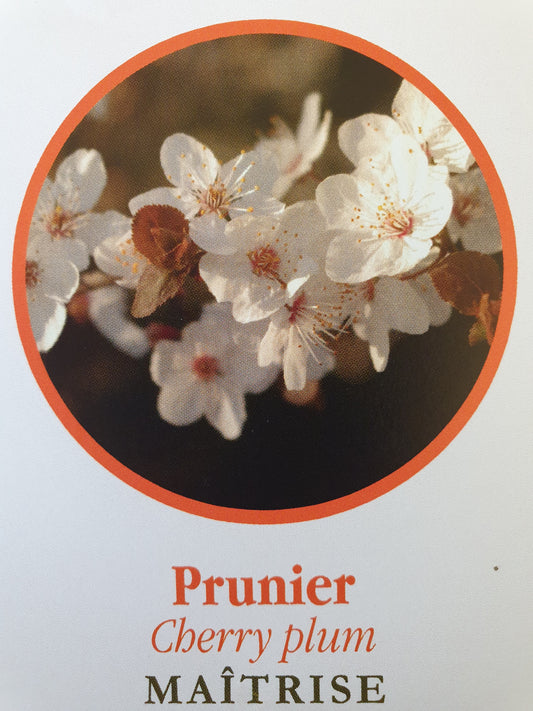 Prunier