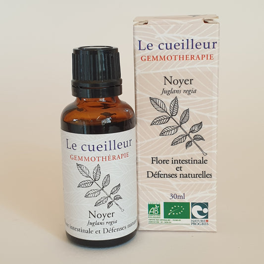 Noyer