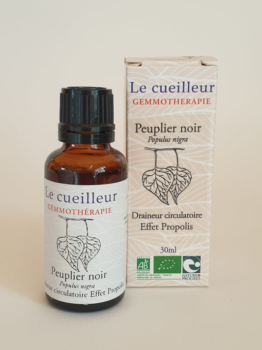 Peupier noir