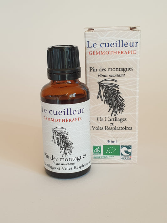 Pin des montagnes