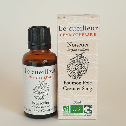 Noisetier