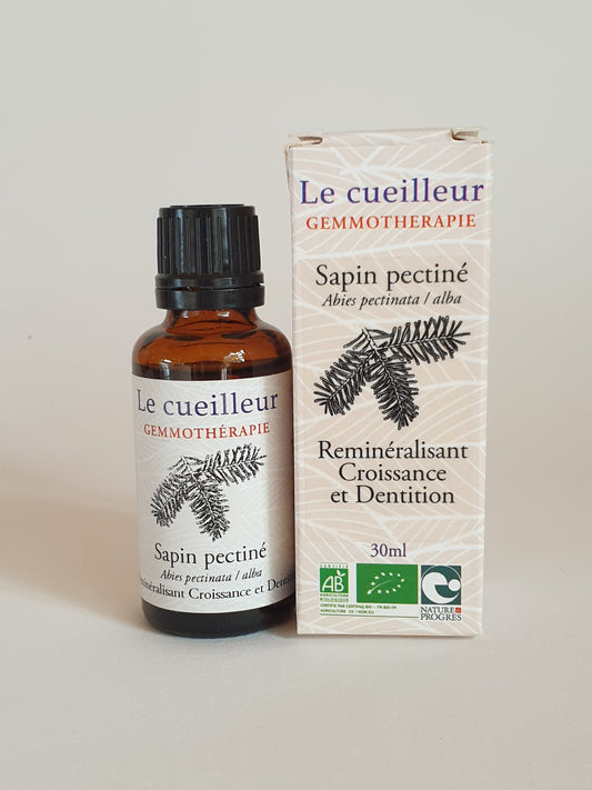 Sapin pectiné