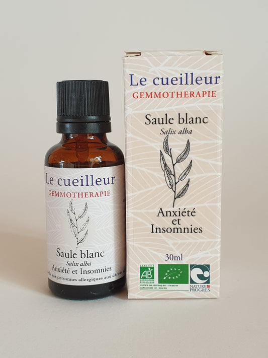 Saule blanc