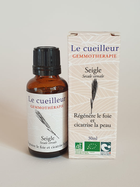 Seigle