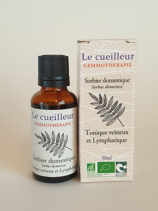 Sorbier domestique