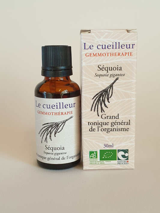 Séquoia