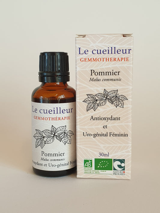 Pommier