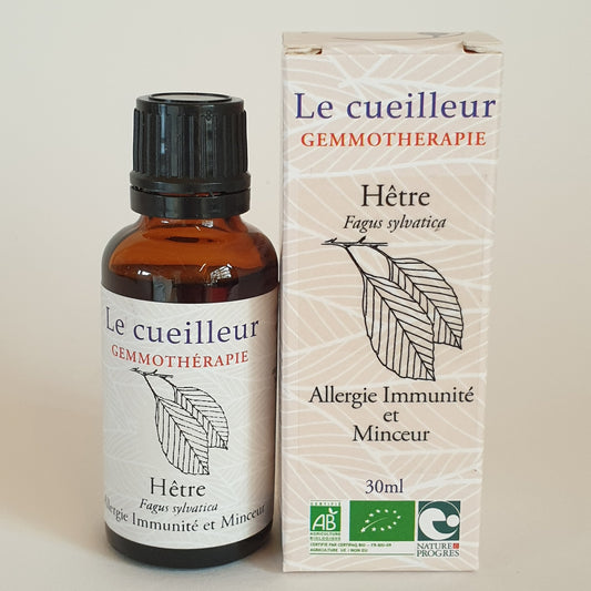 Hêtre