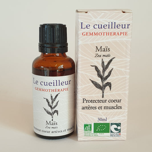 Maïs
