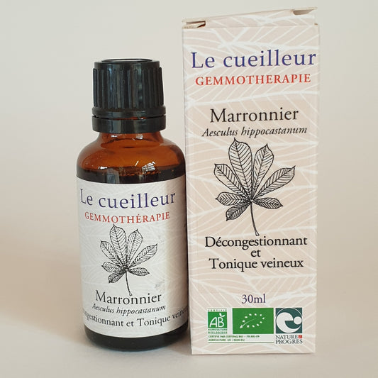Marronnier