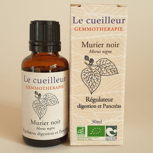 Mûrier noir
