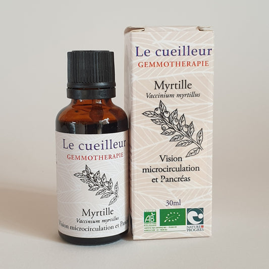 Myrtille