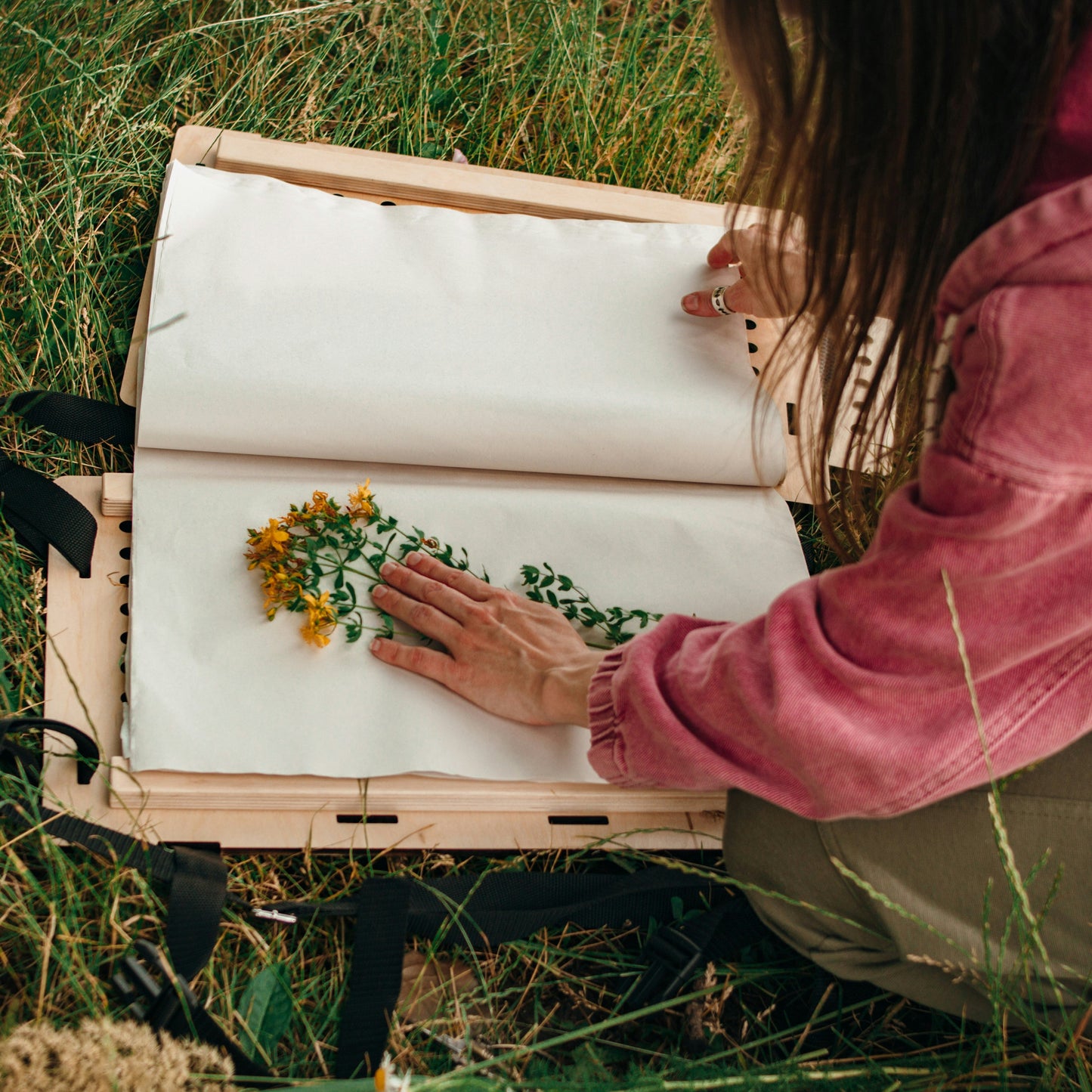 23 mai - De la botanique à l'herbier