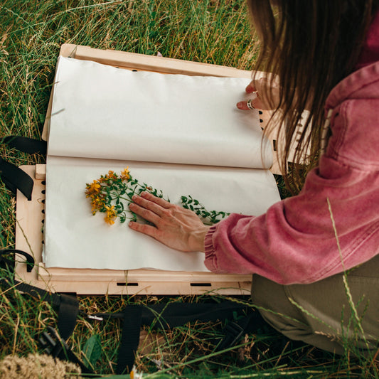 23 mai - De la botanique à l'herbier