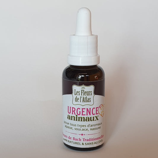 Urgence animaux